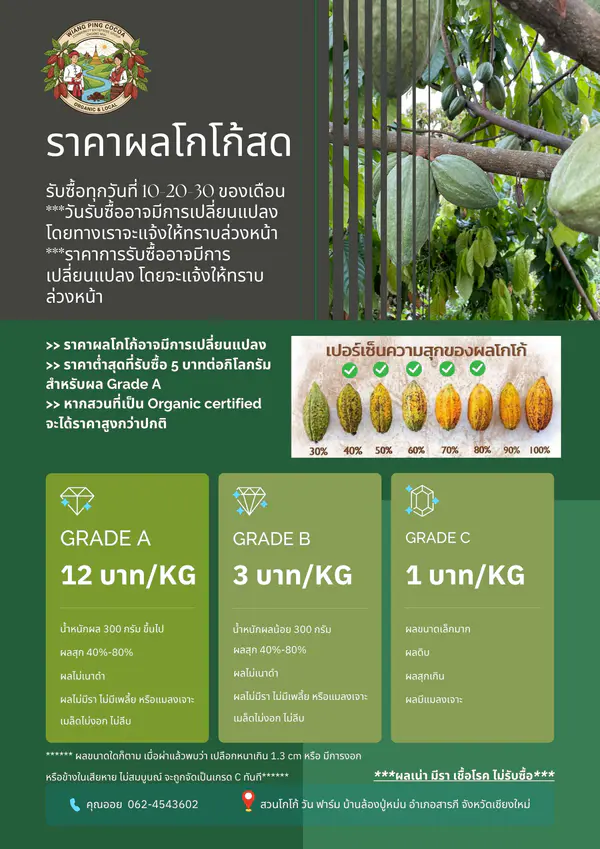 ชามอาหารสแตนเลส